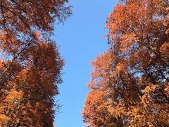 -汉水公园