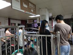 -长洲渡车船码头