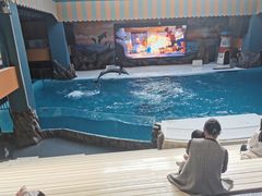 -锦艺城海洋馆