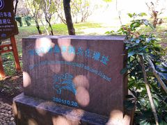 -南诏风情岛