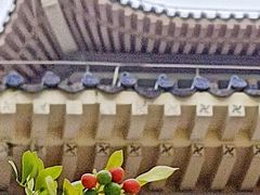 -广州中山纪念堂