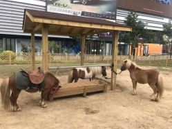 -萌宠亲子动物乐园(槐房万达店)