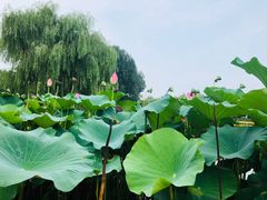 -奥林匹克森林公园北园-停车场