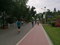 健身步道-仙岳公园