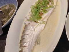 清蒸白鱼-二十八里太湖船菜(吉祥路店)