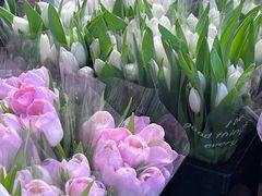 -循礼门鲜花花市(武汉循礼门店)