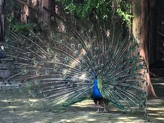 -南京金牛湖风景区