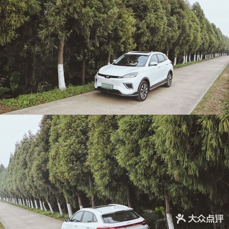 城市旅行好伴侣 |自驾上海崇明岛/丁坝