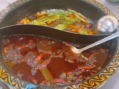 -小志家.野生菌鲜切牦牛肉牛杂火锅