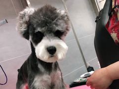 -宠福鑫康馨动物医院·骨科·眼科