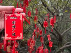 -句容茅山景区