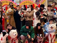 -龙湖成都上城天街