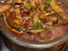 -探鱼·鲜青椒爽麻烤鱼(增城东汇城店)