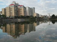 -雁滩公园