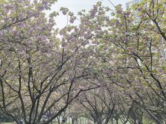 -苏州河梦清园环保主题公园