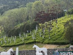 -济南喜来登酒店