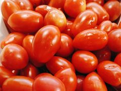 -蒙都43°9羊火锅·赤峰美食(宁城店)