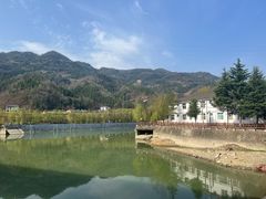 -后柳水乡