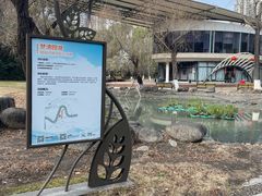 -苏州河梦清园环保主题公园