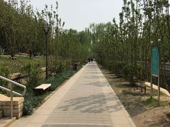 -元大都城垣遗址公园
