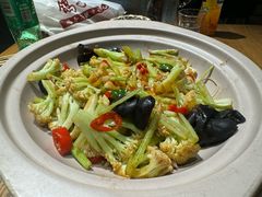 -鸽子窝(青塔店)