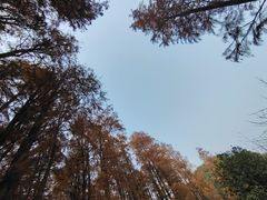 -张公山寨景区