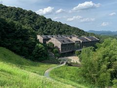 -午潮山国家森林公园