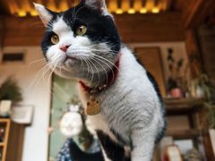 -创艺无限·赵春香微妙艺术馆