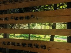 -南长河公园