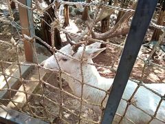 -昆明动物园