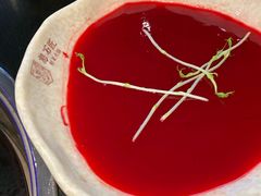 -潘小辣鲜肉老火锅