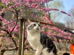 -炼呗运动康复·健身工作室(紫竹桥店)