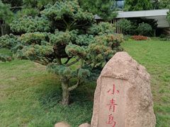 -青岛海滨风景区小青岛