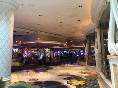 -拉斯维加斯永利酒店