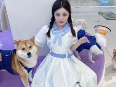 -怪兽屋·羊驼·猫咖·狗咖(俊华广场店)