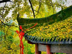 -佛荫寺