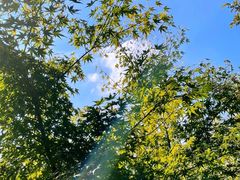 -宝岩生态观光园