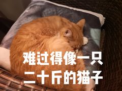 -济州岛汗蒸时代宝石生态热水浴(阳光嘉城二期D区店)