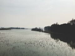 -东湖落雁景区