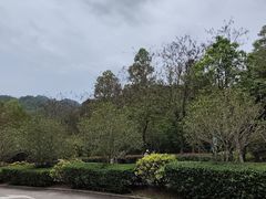 -田心森林公园