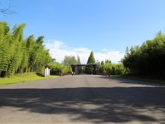 -黄海国家森林公园