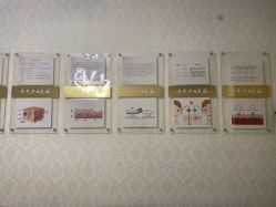 -紫洁俪方（北京）医疗美容