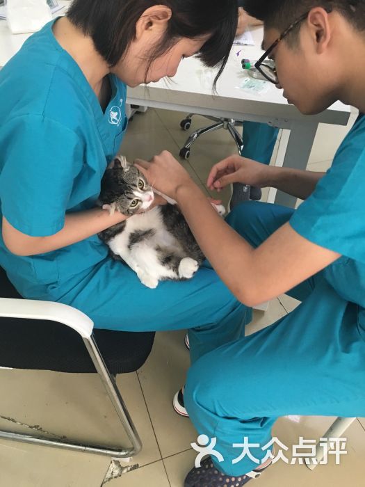 谢博士动物医院图片 - 第3张