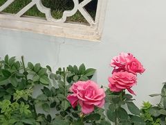 -郑州西亚斯学院-体育学院