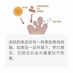 点击看大图 -美肤盾祛痘·问题肌头疗管理中心