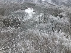-紫金山索道-售票处