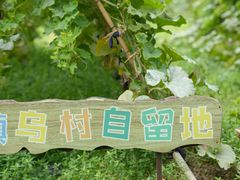 -乌村