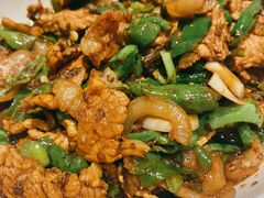 -壹盏灯(惠农店)
