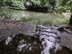 -成都市活水公园