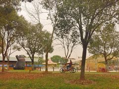 -上海海湾国家森林公园